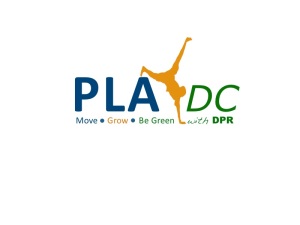 PlayDc final Logo